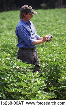 Stock Photo - a middle-aged 
adult caucasian 
male farmer using 
a pda in a soybean. 
fotosearch - search 
stock photos, 
pictures, images, 
and photo clipart