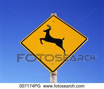 Stock Photo - sign, deer crossing. 
fotosearch - search 
stock photos, 
pictures, images, 
and photo clipart