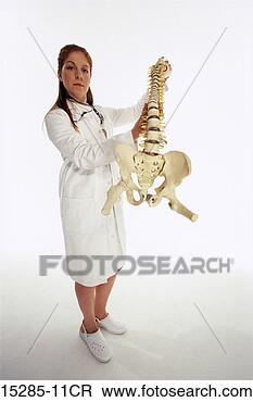 Stock Photo - a female chiropractor 
holding a model 
of a backbone. 
fotosearch - search 
stock photos, 
pictures, images, 
and photo clipart