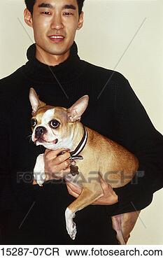 Stock Photo - man holding boston 
terrier under 
arm. fotosearch 
- search stock 
photos, pictures, 
images, and photo 
clipart