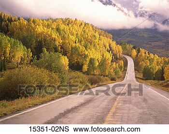 Stock Photo - autumn aspen trees 
along scenic road 
near telluride, 
colorado, usa. 
fotosearch - search 
stock photos, 
pictures, images, 
and photo clipart