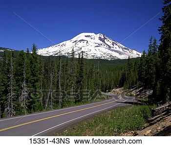 Stock Photo - curving road through 
evergreen with 
snow-covered mountain 
in. fotosearch 
- search stock 
photos, pictures, 
images, and photo 
clipart