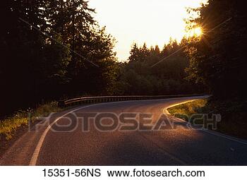 Stock Photo - curving road through 
green forest area 
at sunset,  olympic 
national. fotosearch 
- search stock 
photos, pictures, 
images, and photo 
clipart