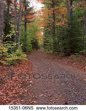 Stock Photo - dirt road through 
forest in early 
autumn,  keweenaw 
peninsula upper. 
fotosearch - search 
stock photos, 
pictures, images, 
and photo clipart