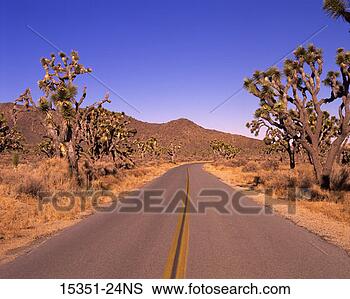 Stock Photo - highway through 
joshua tree national 
park, california, 
usa. fotosearch 
- search stock 
photos, pictures, 
images, and photo 
clipart