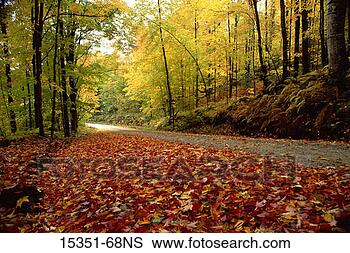 Stock Photo - road through autumn 
forest, new hampshire, 
usa. fotosearch 
- search stock 
photos, pictures, 
images, and photo 
clipart