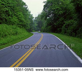 Stock Photo - winding country 
road through green 
forested area, 
 cheringhelli 
road. fotosearch 
- search stock 
photos, pictures, 
images, and photo 
clipart