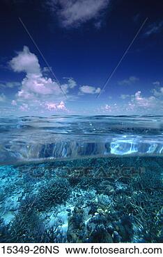 Stock Photo - pristine coral 
reef,  view above 
and below water's 
surface,  rock. 
fotosearch - search 
stock photos, 
pictures, images, 
and photo clipart