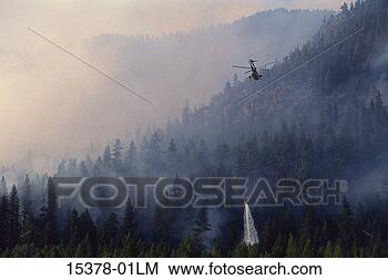 Stock Photo - forest fire fighting 
with helicopter, 
montana. fotosearch 
- search stock 
photos, pictures, 
images, and photo 
clipart