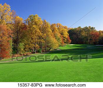 Stock Photo - fairway and green 
of property released 
golf course in 
autumn. fotosearch 
- search stock 
photos, pictures, 
images, and photo 
clipart
