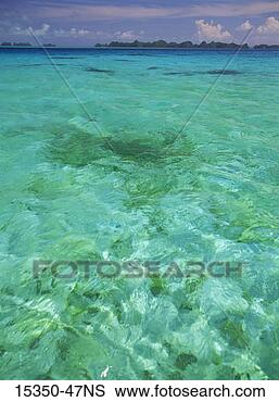 Stock Photo - blue-green ocean 
water, palau lagoon 
rock islands, 
micronesia. fotosearch 
- search stock 
photos, pictures, 
images, and photo 
clipart