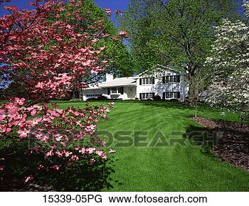 Stock Photo - exterior of split-level 
ranch style house 
in spring. fotosearch 
- search stock 
photos, pictures, 
images, and photo 
clipart