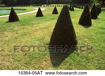 Stock Photo - sculptured hedges 
in garden of fontainebleau 
chateaux, france. 
fotosearch - search 
stock photos, 
pictures, images, 
and photo clipart