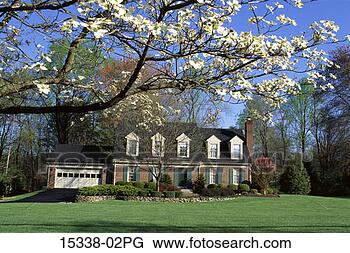 Stock Photo - exterior of colonial 
style house in 
spring. fotosearch 
- search stock 
photos, pictures, 
images, and photo 
clipart