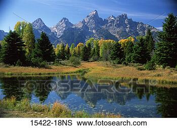 Stock Photo - schwabacher landing, 
snake river, grand 
teton national 
park, wyoming. 
fotosearch - search 
stock photos, 
pictures, images, 
and photo clipart