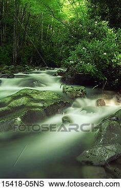 Stock Photo - big creek, great 
smoky mountains 
national park, 
north carolina. 
fotosearch - search 
stock photos, 
pictures, images, 
and photo clipart