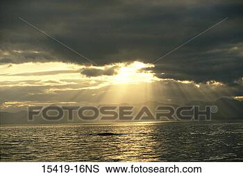 Stock Photo - godbeams over 
ocean, frederick 
sound, alaska. 
fotosearch - search 
stock photos, 
pictures, images, 
and photo clipart