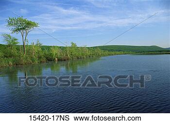Stock Photo - high tor marsh, 
canandaigua lake, 
new york. fotosearch 
- search stock 
photos, pictures, 
images, and photo 
clipart