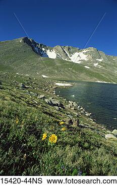 Stock Photo - old-man-of-the-mountains, 
mt evans, summit 
lake, colorado. 
fotosearch - search 
stock photos, 
pictures, images, 
and photo clipart