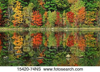 Banco de Imagem - queda,  lago, 
 collins,  colorado. 
fotosearch - busca 
de fotos, imagens 
e clipart