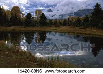 Stock Photo - schwabacher landing, 
snake river, grand 
teton national 
park, wyoming. 
fotosearch - search 
stock photos, 
pictures, images, 
and photo clipart
