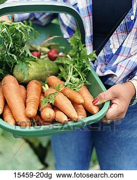 Stock Photo - woman holding 
basket of vegetables, 
close-up. fotosearch 
- search stock 
photos, pictures, 
images, and photo 
clipart