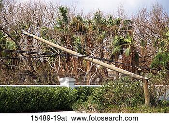 Stock Photo - hurricane storm 
damage; broken 
electric power 
poles and lines. 
fotosearch - search 
stock photos, 
pictures, images, 
and photo clipart