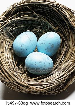 Stock Photo - three blue eggs 
in bird's nest. 
fotosearch - search 
stock photos, 
pictures, images, 
and photo clipart