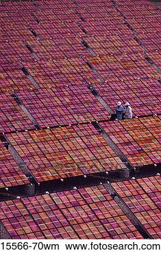 Stock Photo - two workers and 
solar energy panels. 
fotosearch - search 
stock photos, 
pictures, images, 
and photo clipart