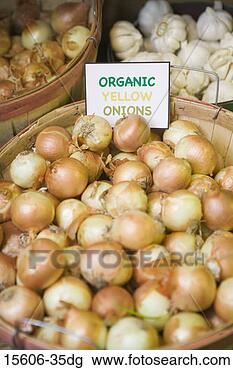 Stock Photo - organic onions. 
fotosearch - search 
stock photos, 
pictures, images, 
and photo clipart