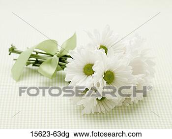 Stock Photo - bouquet of flowers. 
fotosearch - search 
stock photos, 
pictures, images, 
and photo clipart