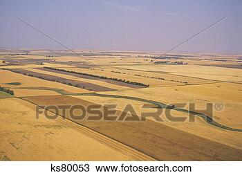 Stock Photo - farmland. fotosearch 
- search stock 
photos, pictures, 
images, and photo 
clipart
