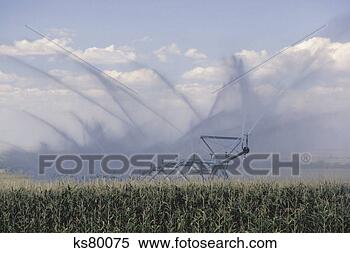Stock Image - irrigation system. 
fotosearch - search 
stock photos, 
pictures, images, 
and photo clipart