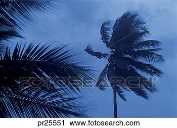 Stock Photography - andros, bahamas. 
fotosearch - search 
stock photos, 
pictures, images, 
and photo clipart
