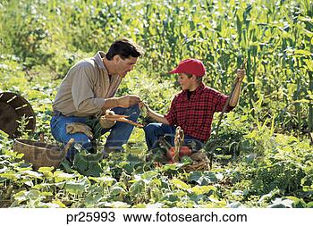 Stock Photo - father and son 
outside in corn 
field. fotosearch 
- search stock 
photos, pictures, 
images, and photo 
clipart