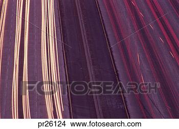 Stock Photo - freeway, san diego, 
ca. fotosearch 
- search stock 
photos, pictures, 
images, and photo 
clipart