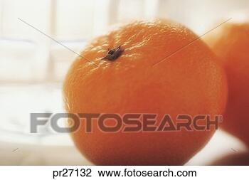 Banco de Imagem - laranja. fotosearch 
- busca de fotos, 
imagens e clipart