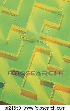 Stock Photograph - mouse in a maze. 
fotosearch - search 
stock photos, 
pictures, images, 
and photo clipart