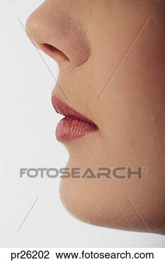 Stock Photo - woman's face, 
side profile. 
fotosearch - search 
stock photos, 
pictures, images, 
and photo clipart