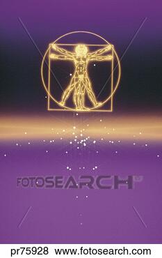 Stock Photo - abstract anatomy 
design with shapes 
on horizon. fotosearch 
- search stock 
photos, pictures, 
images, and photo 
clipart