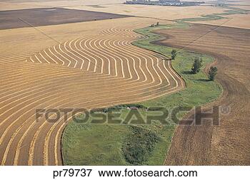 Picture - farm land; landscape. 
fotosearch - search 
stock photos, 
pictures, images, 
and photo clipart