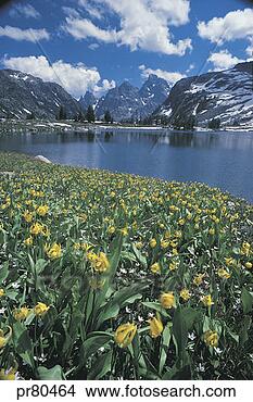 Stock Photo - grand teton national 
park lake solitude. 
fotosearch - search 
stock photos, 
pictures, images, 
and photo clipart