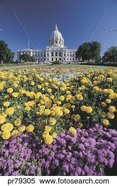 Stock Image - state capitol 
building, st paul, 
mn. fotosearch 
- search stock 
photos, pictures, 
images, and photo 
clipart