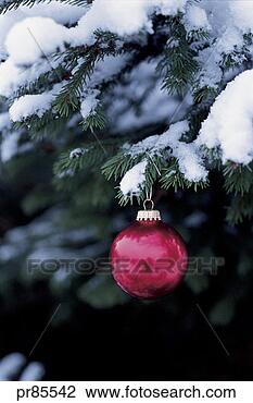 Stock Photo - christmas ornament. 
fotosearch - search 
stock photos, 
pictures, images, 
and photo clipart