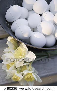 Stock Photo - eggs in bowl with 
daffodils. fotosearch 
- search stock 
photos, pictures, 
images, and photo 
clipart