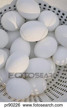 Banco de Imagem - ovos. fotosearch 
- busca de fotos, 
imagens e clipart