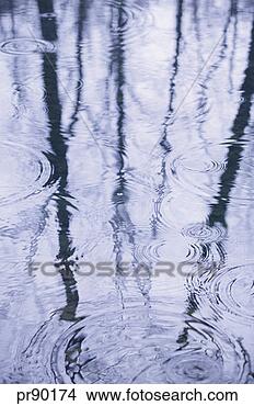 Stock Photo - rain falling in 
puddle. fotosearch 
- search stock 
photos, pictures, 
images, and photo 
clipart