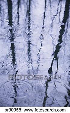 Stock Photo - rain falling in 
puddle. fotosearch 
- search stock 
photos, pictures, 
images, and photo 
clipart