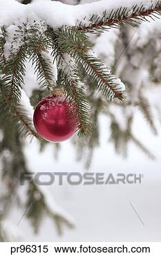 Stock Image - christmas ornament 
on snow-covered 
tree. fotosearch 
- search stock 
photos, pictures, 
images, and photo 
clipart