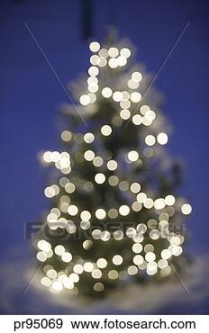Stock Photograph - tree with lights 
in snow. fotosearch 
- search stock 
photos, pictures, 
images, and photo 
clipart